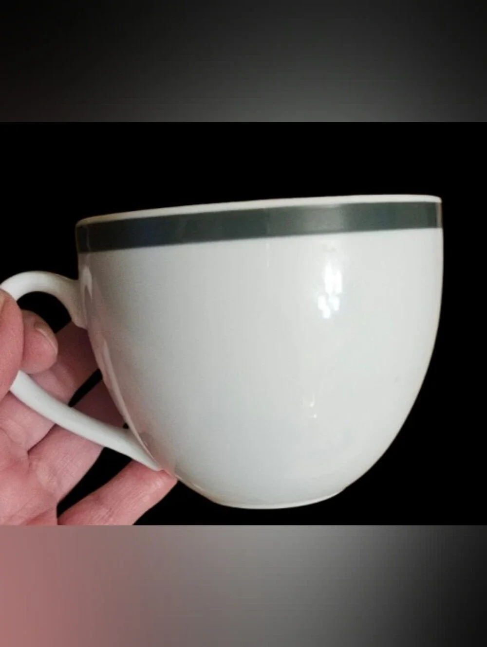 *Williams Sonoma Brasserie Cups & Saucers Green trim Set of 4